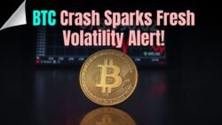 BTC Price Falls Again as Bitcoin Traders Prepare for More Volatility
