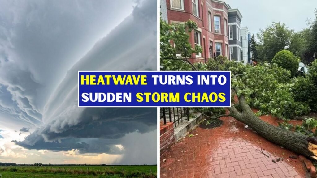 Heatwave Turns Into Sudden Storm Chaos