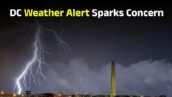  DC weather forecas