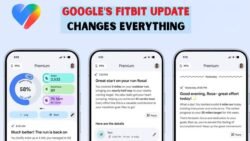 Google Changes Fitbit App Name to Google Health After Big Update