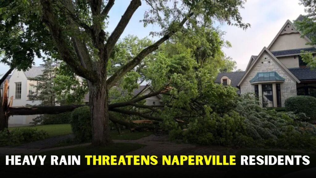 Naperville weather