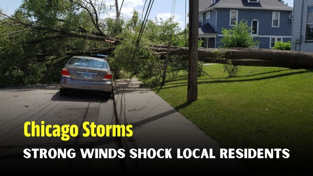 Chicago Storms