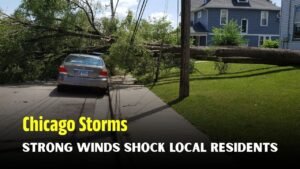 Chicago Storms Knock Down Trees and Power Lines