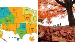 Fall Weather Forecast 2026 Shows Which US Regions Could See Cooler Hotter or Wetter Conditions