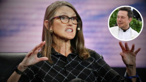 Cathie Wood Buys $50.1 Million of This Falling Megacap Stock Despite Recent Selloff