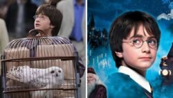 Harry Potter and the Sorcerer’s Stone Returns to Theaters With New Footage for Fans