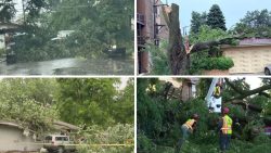 Severe Storms Leave Widespread Damage Across Chicago With Recovery Efforts Underway