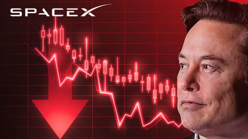 SpaceX Stock Falls Below IPO Price