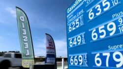 US Consumer Sentiment Rises to 54.4 in July as Americans Show Growing Confidence in the Economy